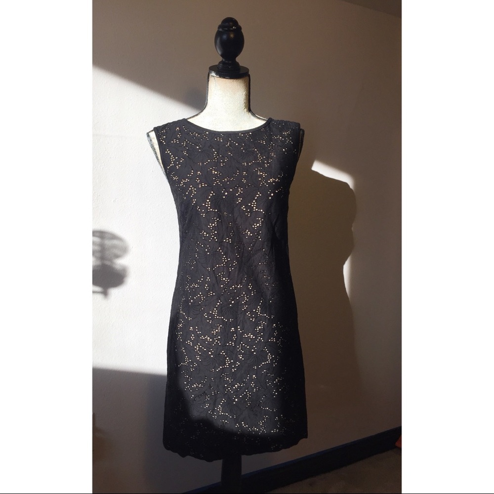 Ann Taylor LOFT LBD 🎀